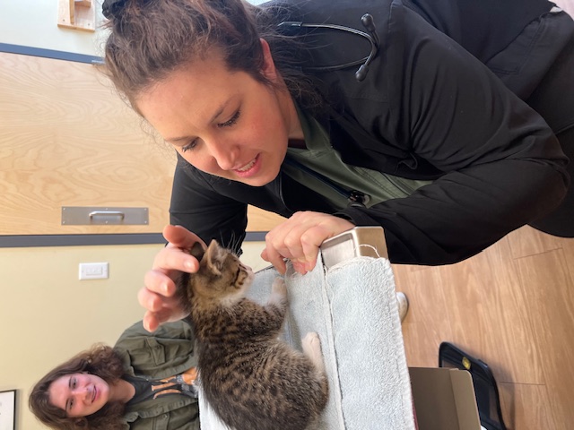 haley h with kitten